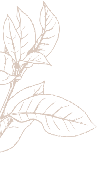 Lorem ipsum dolor sit amet, consectetur adipiscing elit