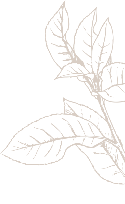 Decorative leaf